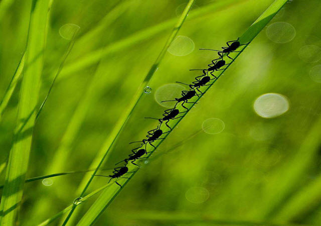 gallery-slide